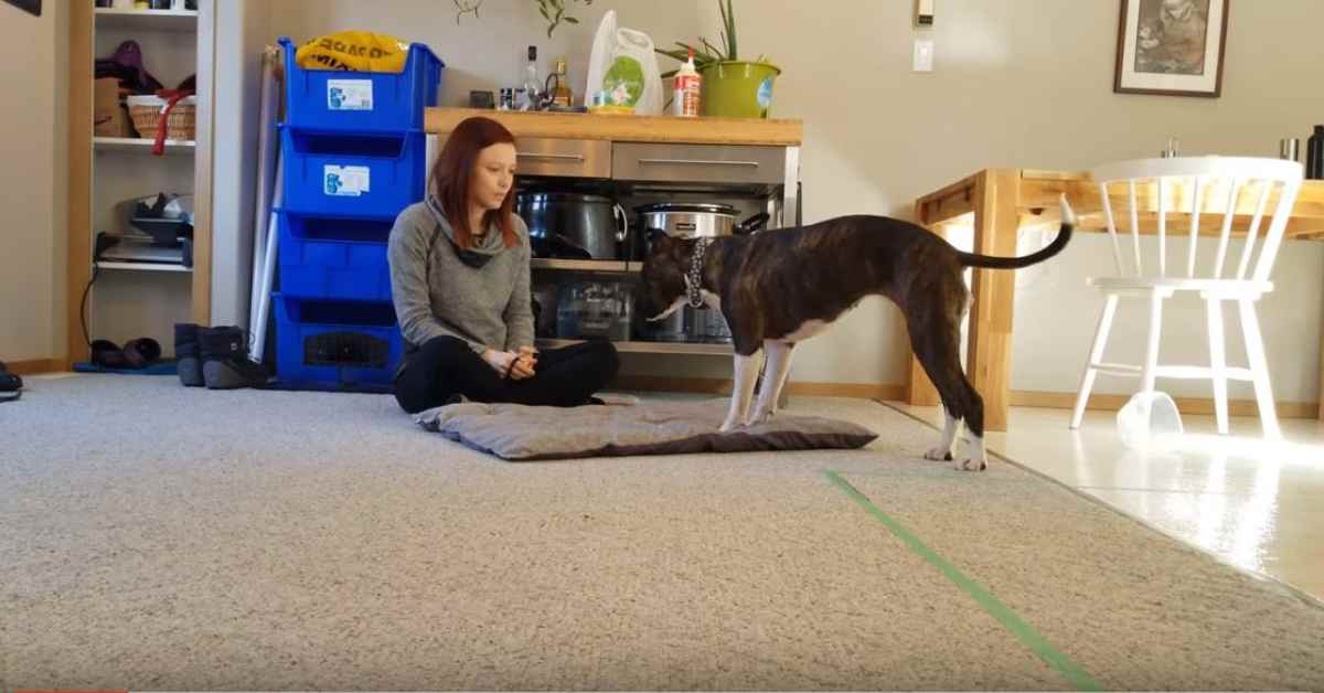 Featured image for “Settle on a Mat – Step 1”