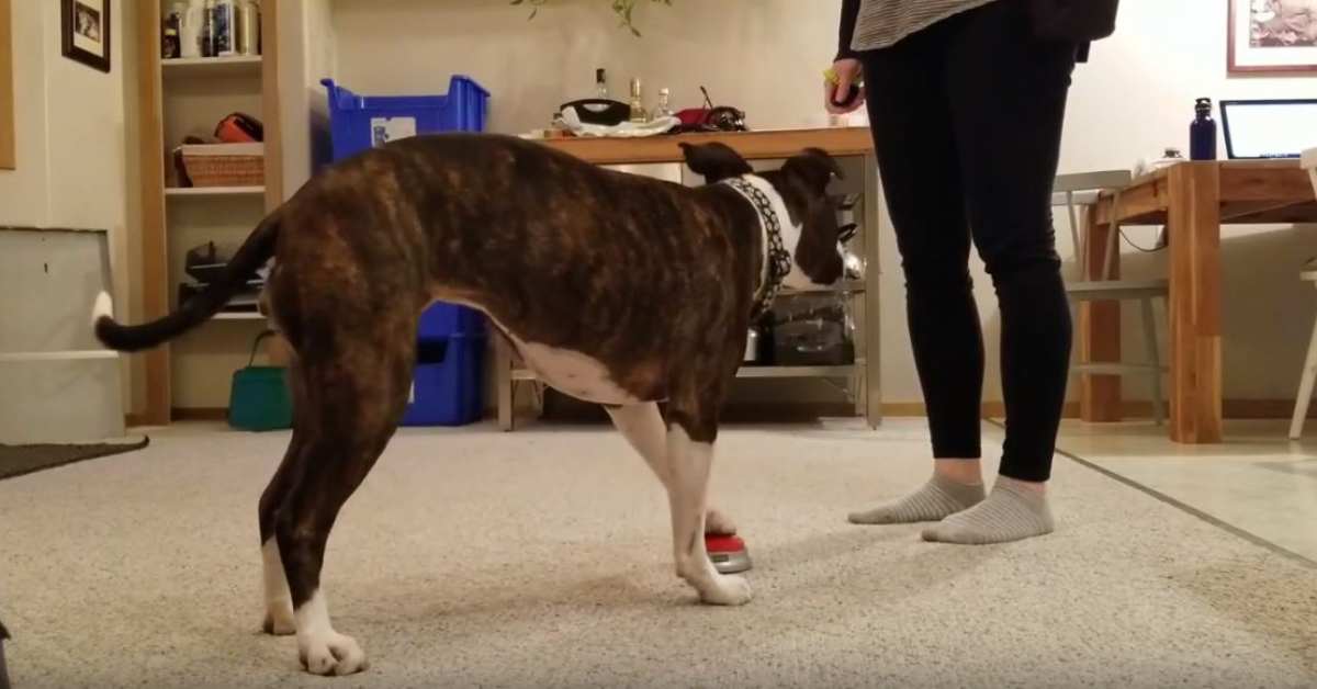 Featured image for “Shaping Foot Target – Easy Button”