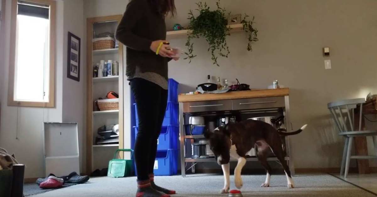 Featured image for “Foot Target – Adding a Cue – Easy Button”