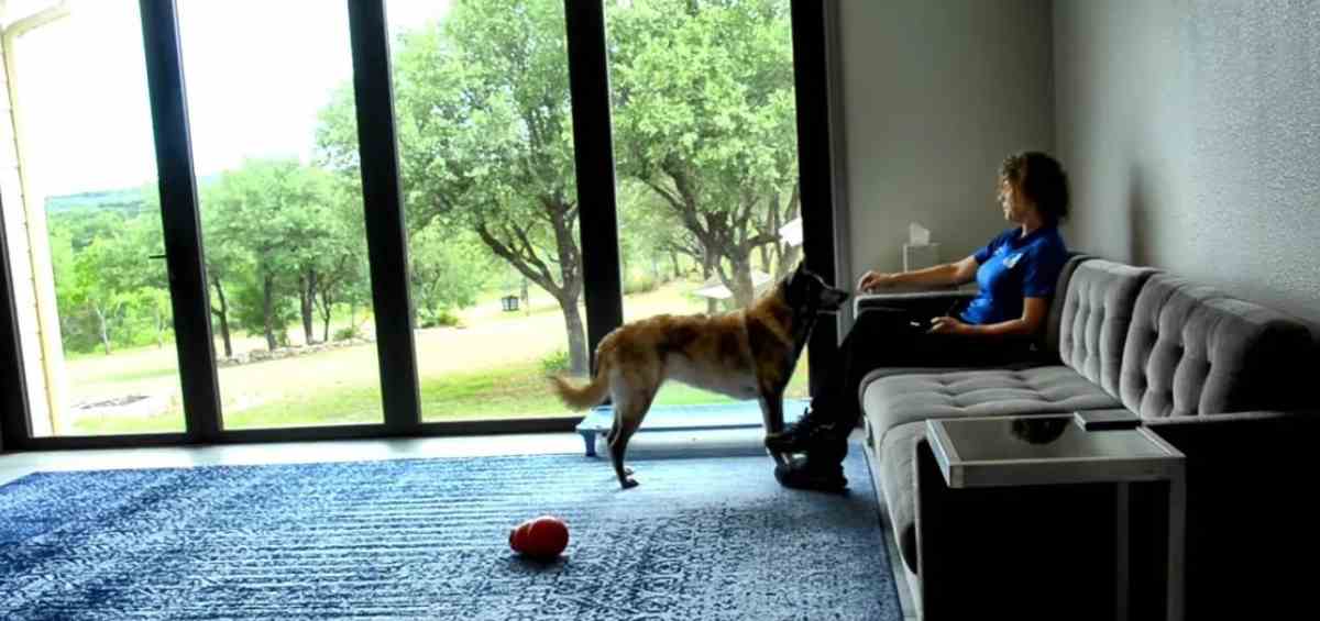 Featured image for “Doorbell Transfer Cue”