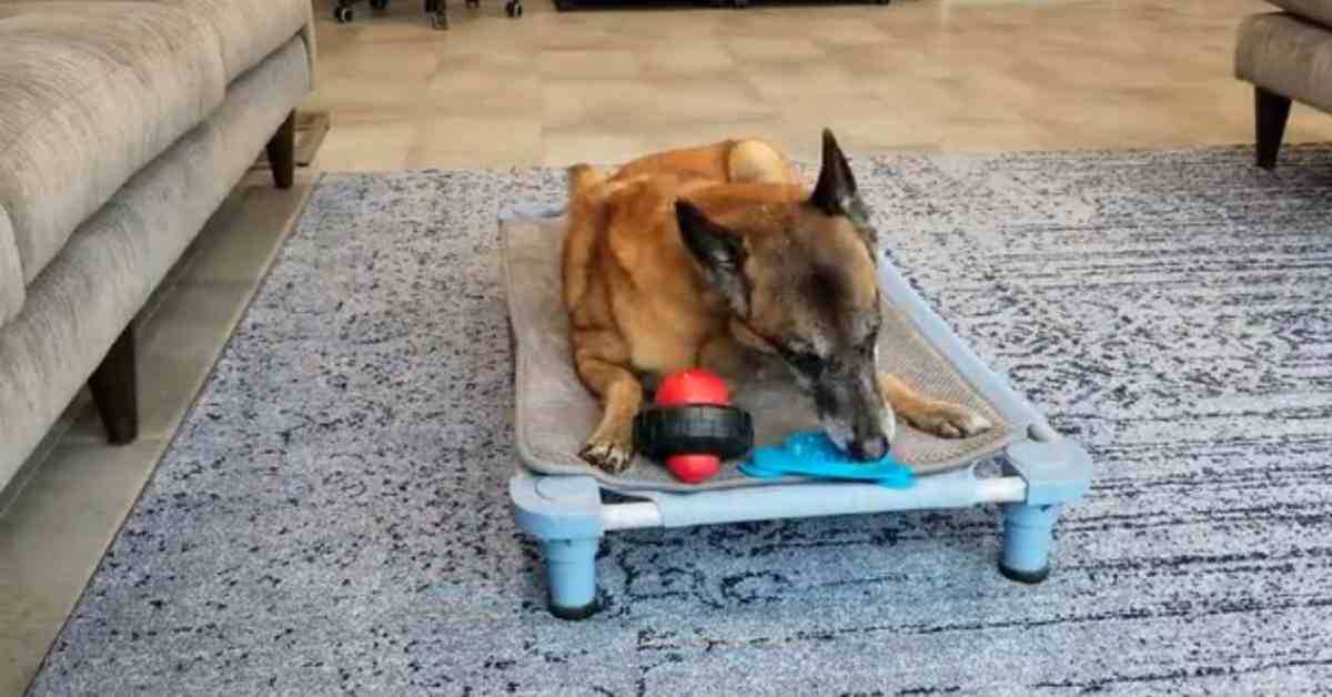 Featured image for “Thunderstorm DS & CC with Safe Place Training”