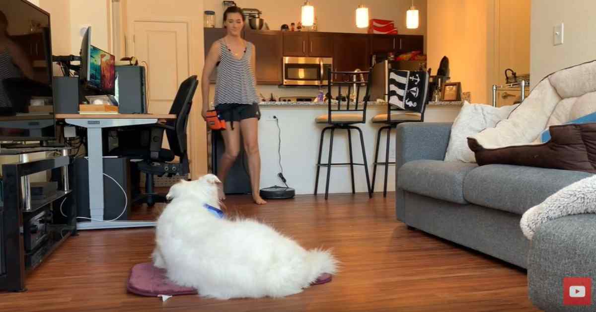 Featured image for ““Go to Place”-Mat Training”