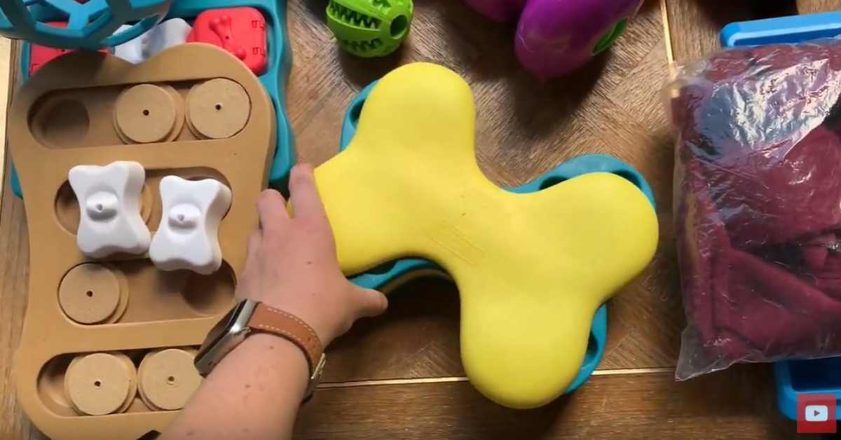 Featured image for “Brain Games for Dogs- Mental Enrichment”