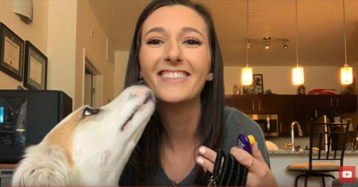 Featured image for “How to Clicker Train Your Dog-An Intro to Positive Reinforcement Based Training”