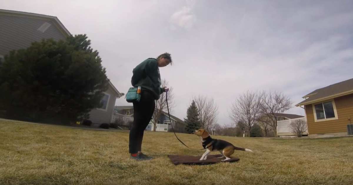 Featured image for “Stay- Adding a Cue”