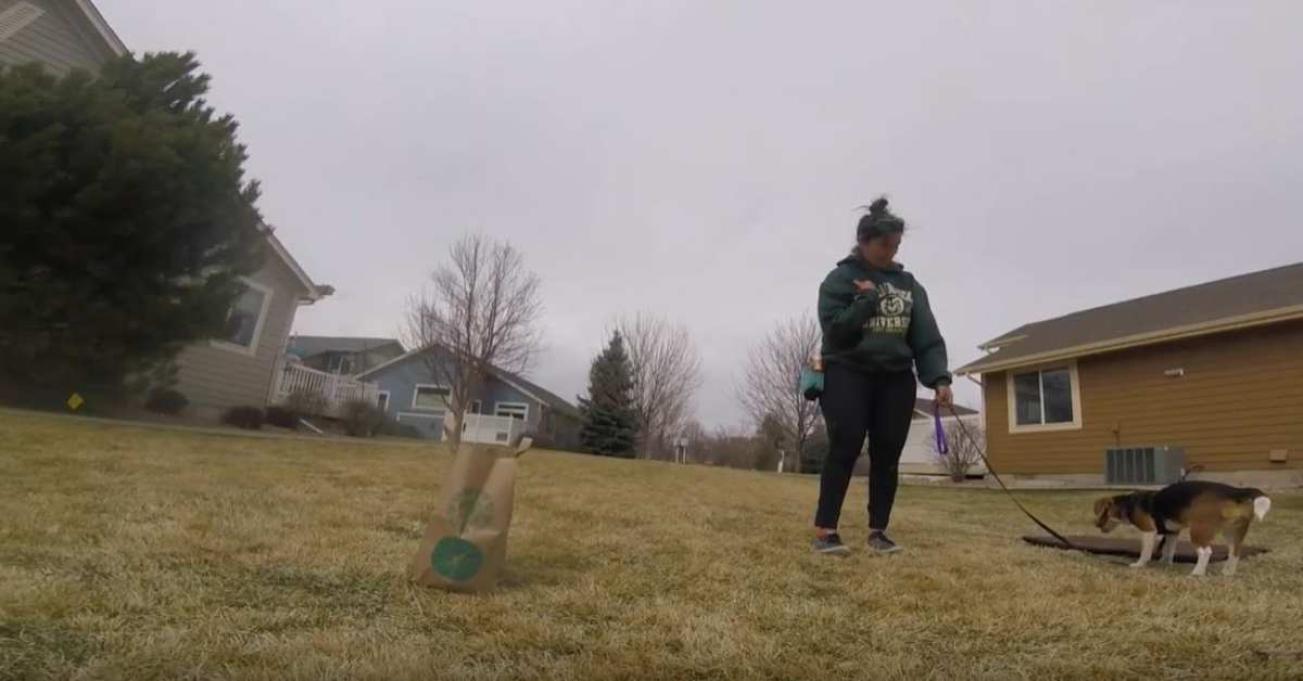 Featured image for “Say Hi!”