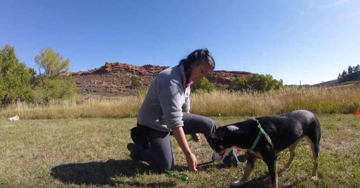 Featured image for “Under and Over- Leg Game”