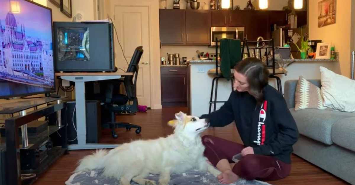 Featured image for “Cooperative Care with Brushing”