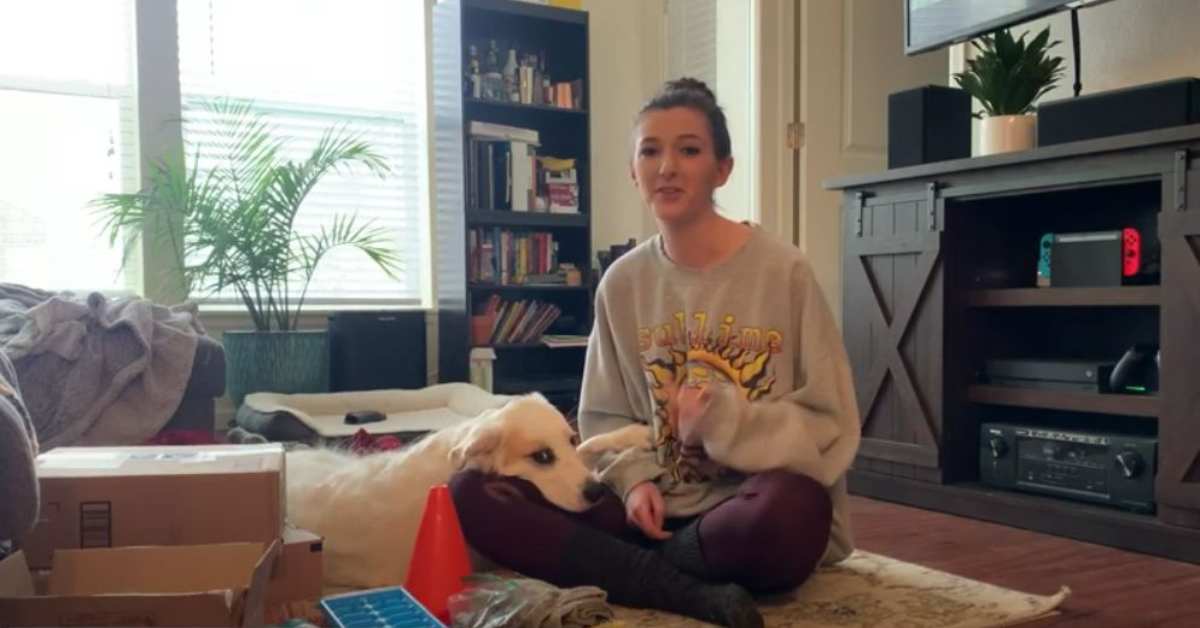 Featured image for “DIY Puzzle Toys”