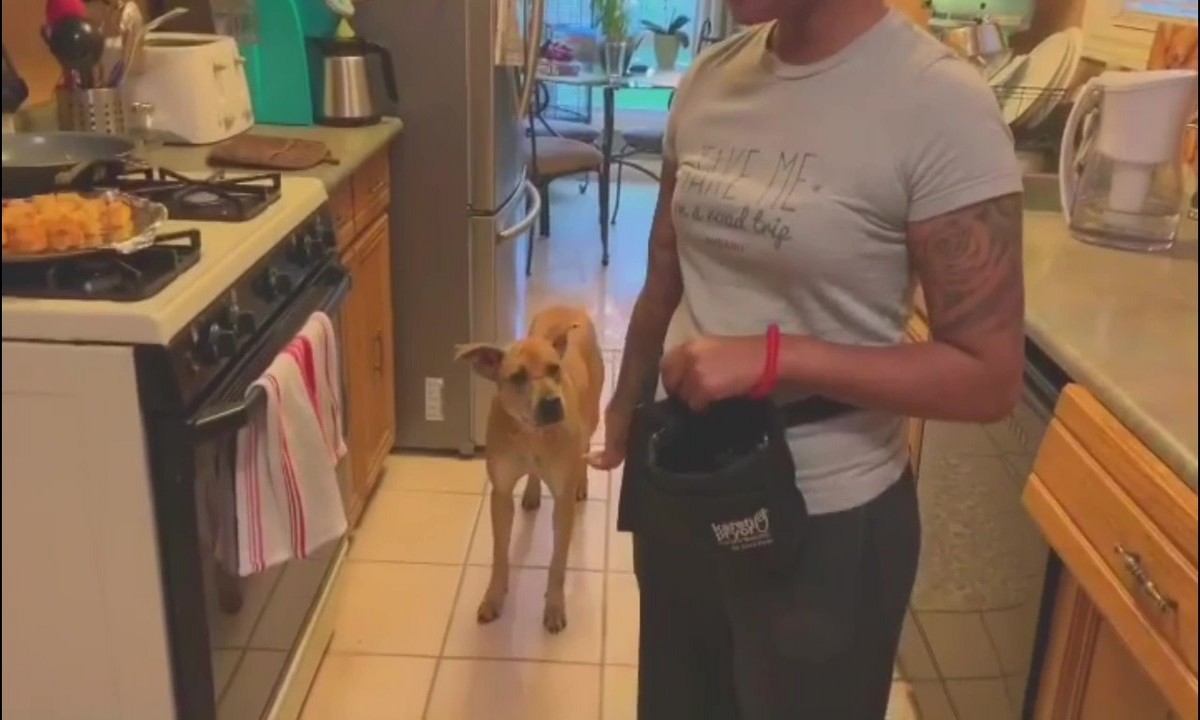 Featured image for “An Introduction to Clicker Mechanics”