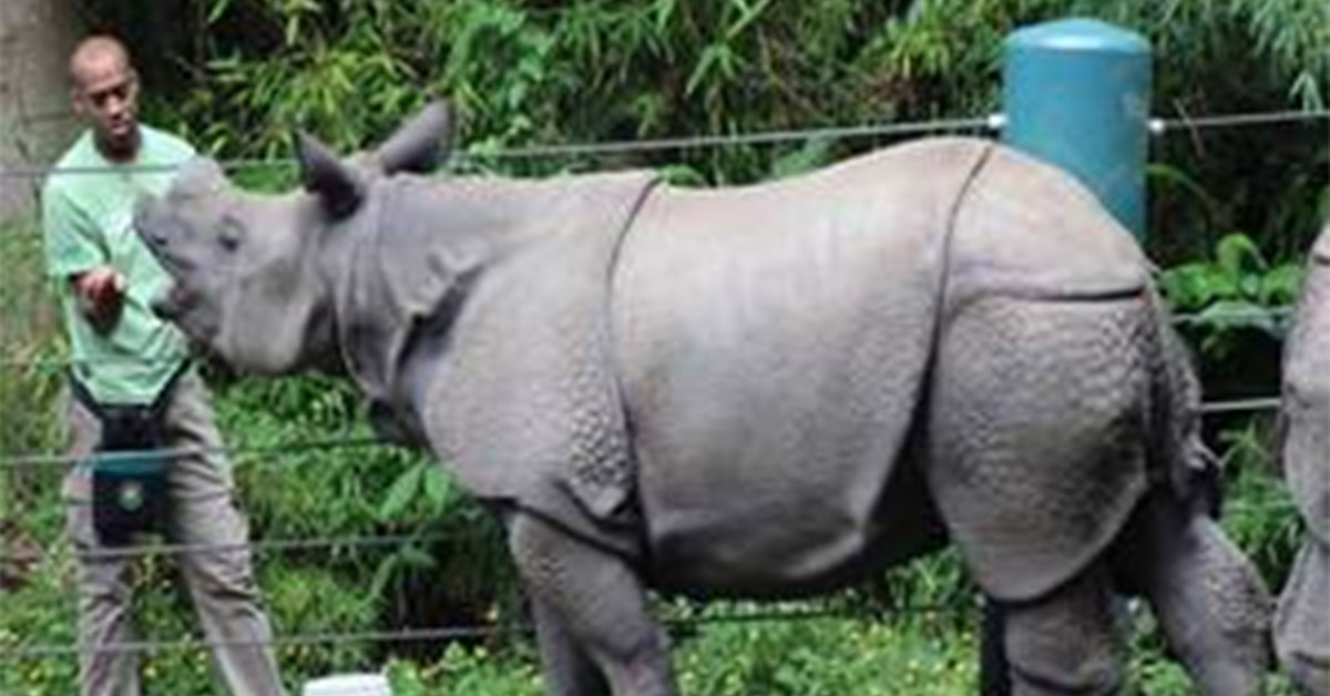 Featured image for “Black Voices in the Animal-Care Community”