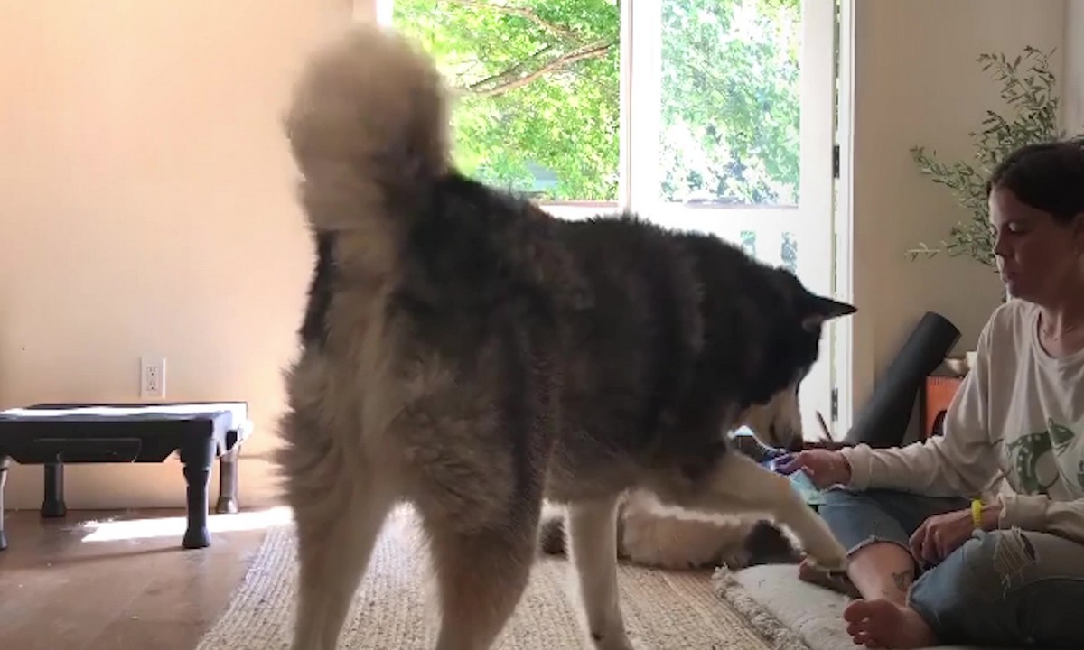 Featured image for “Concept Training: Stationing with Shapes”