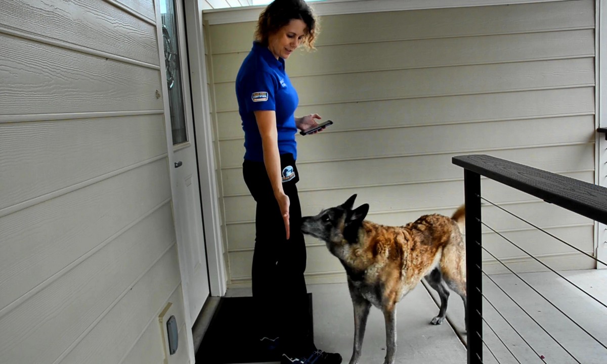 Featured image for “Polite Door Greetings”