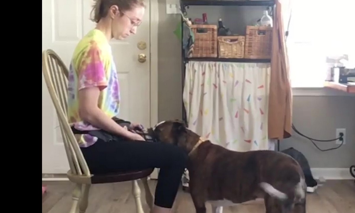 Featured image for “Building Duration Behaviors”