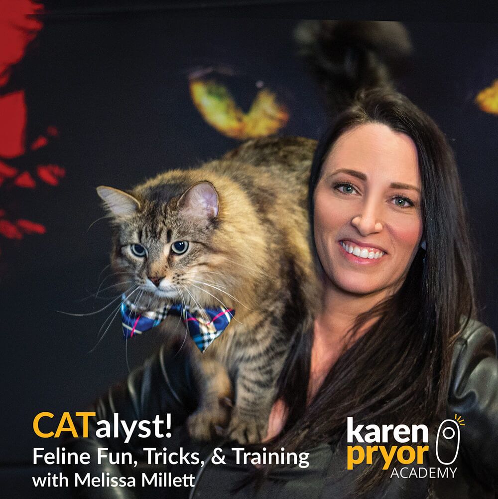 CATalyst-LIVE-Feline-Fun-Tricks-and-Training-with-Melissa-Millett-Bio-Cover-v1