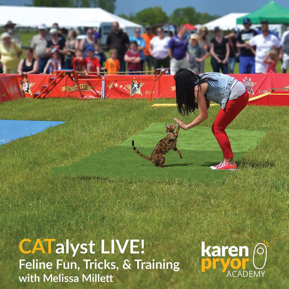 CATalyst-LIVE-Feline-Fun-Tricks-and-Training-with-Melissa-Millett-Cover