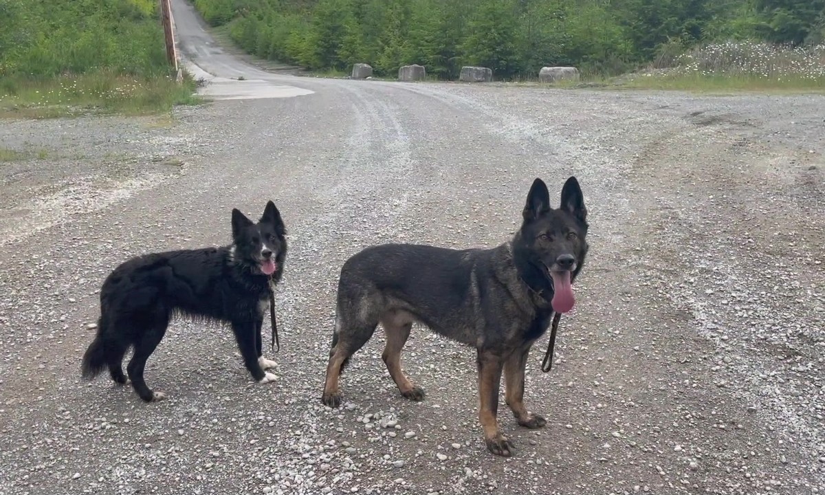 Featured image for “Concept Training in Action: Take a Hike”