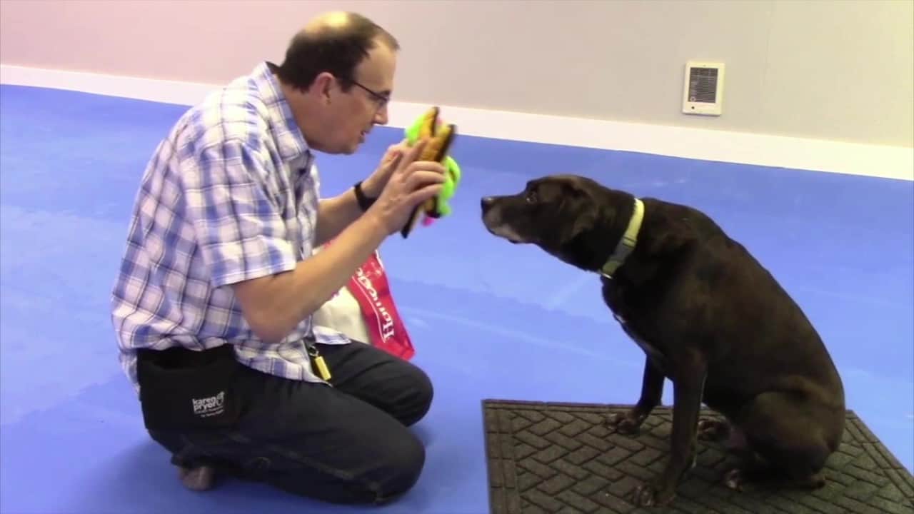 Featured image for “Match-to-Sample Revisited”