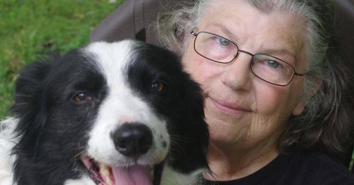 Featured image for “July 2018 KPA CTP of the Month: Laura Donaldson”