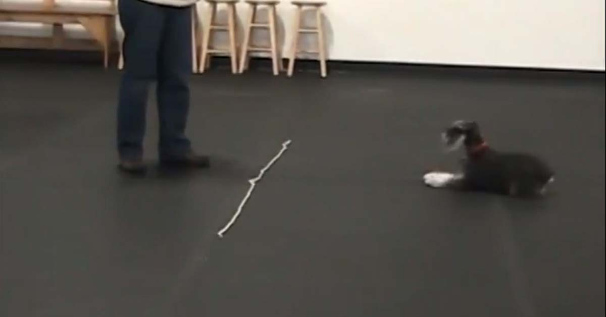 Featured image for “Wait at a Boundary- Level 2”