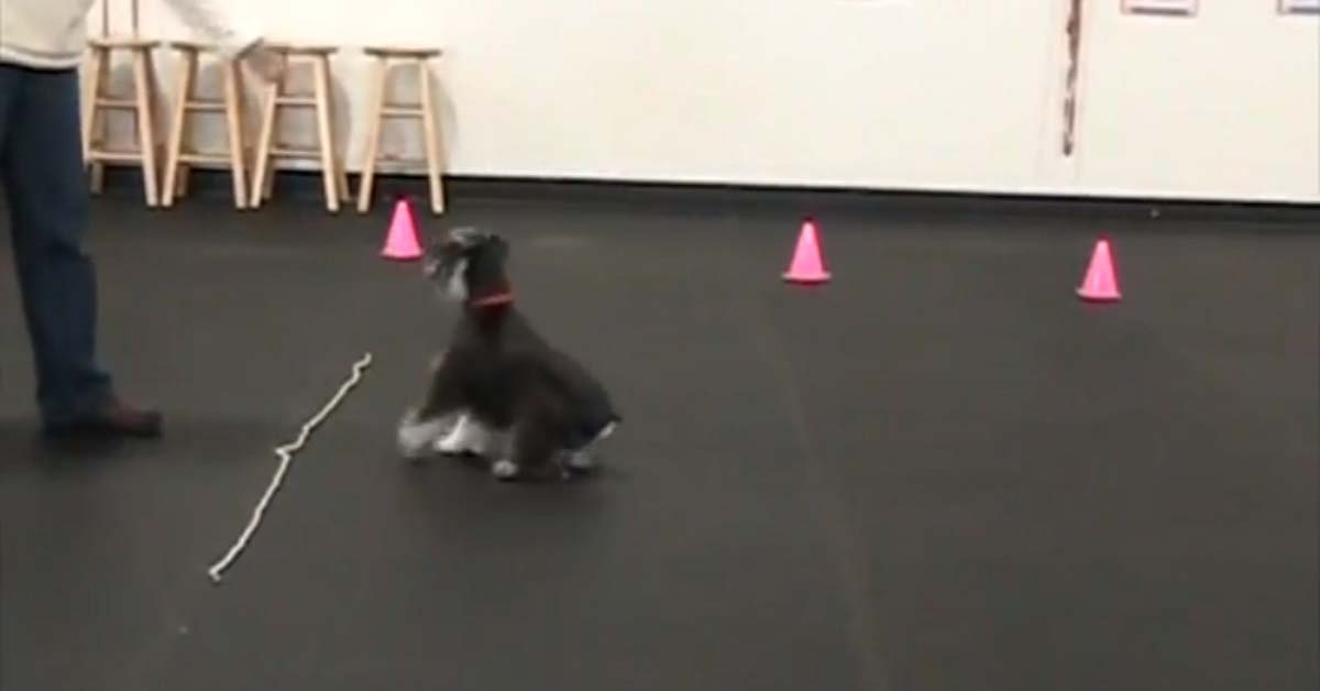 Featured image for “Wait at a Boundary- Level 3”