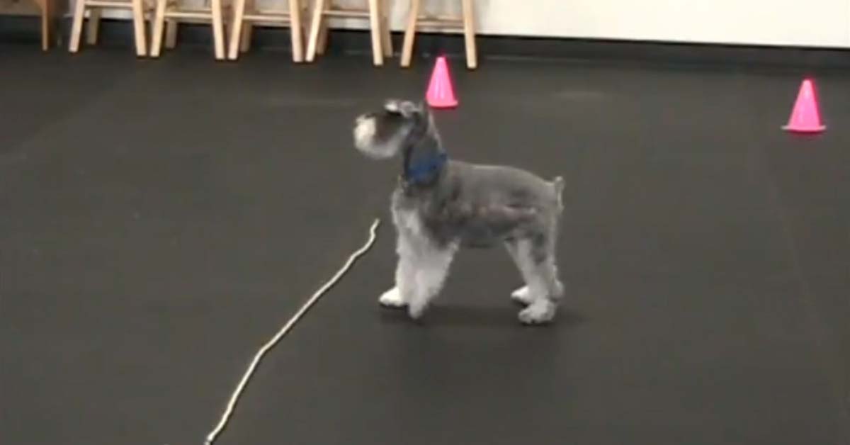 Featured image for “Wait at a Boundary- Level 4”