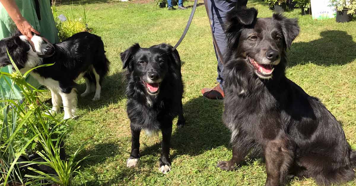 KPA CTP Molly Johnson is KPA CTP of the Month in May 2018