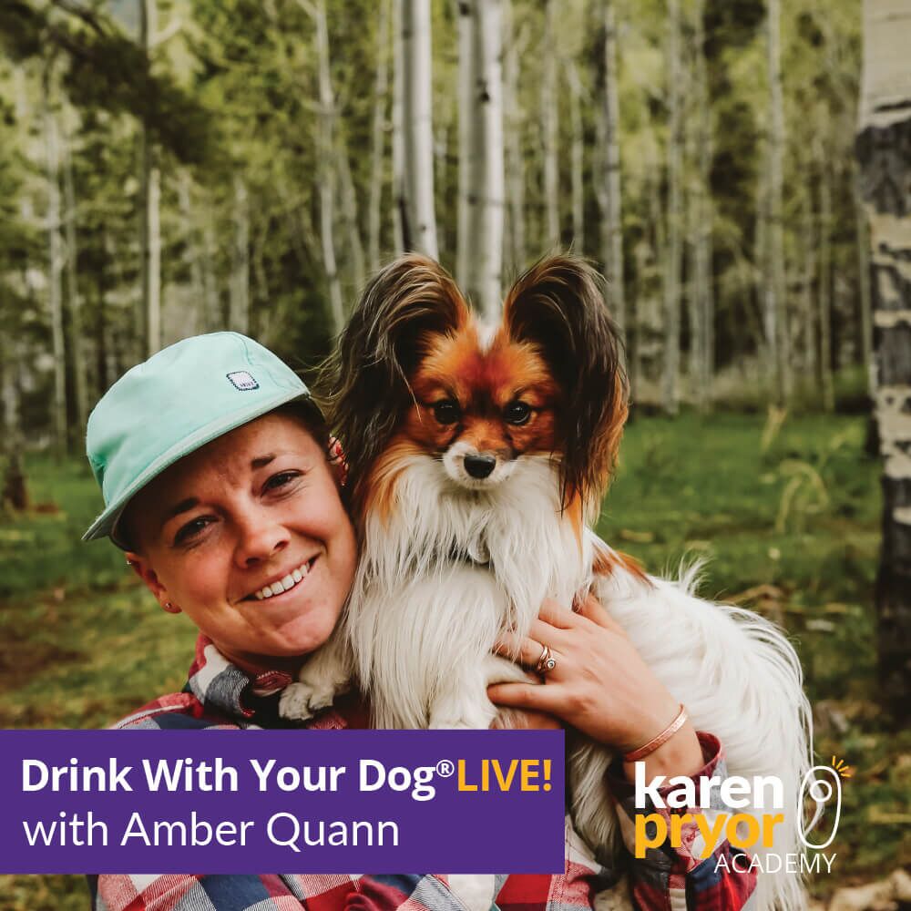 KPA Live Classes Drink with your dog live Learn more