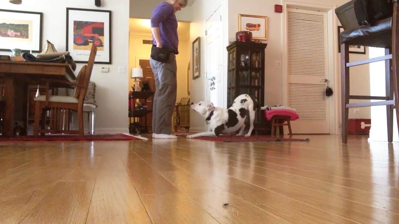 Featured image for “How to Transfer a Cue”