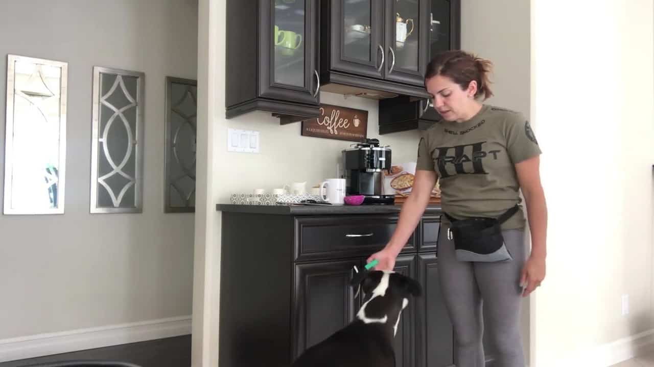 Featured image for “The Many Applications of Targets: Closing a Door”