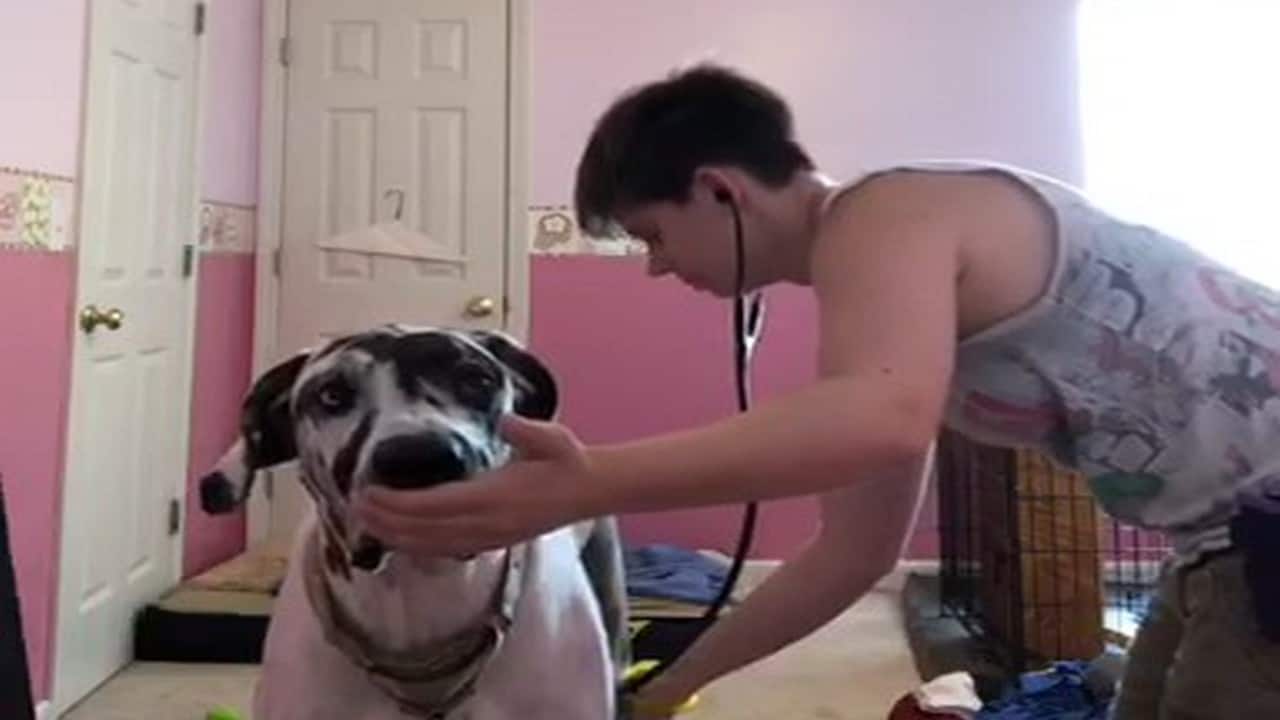 Featured image for “Simple Strategy for a Stress-Free Vet Visit”