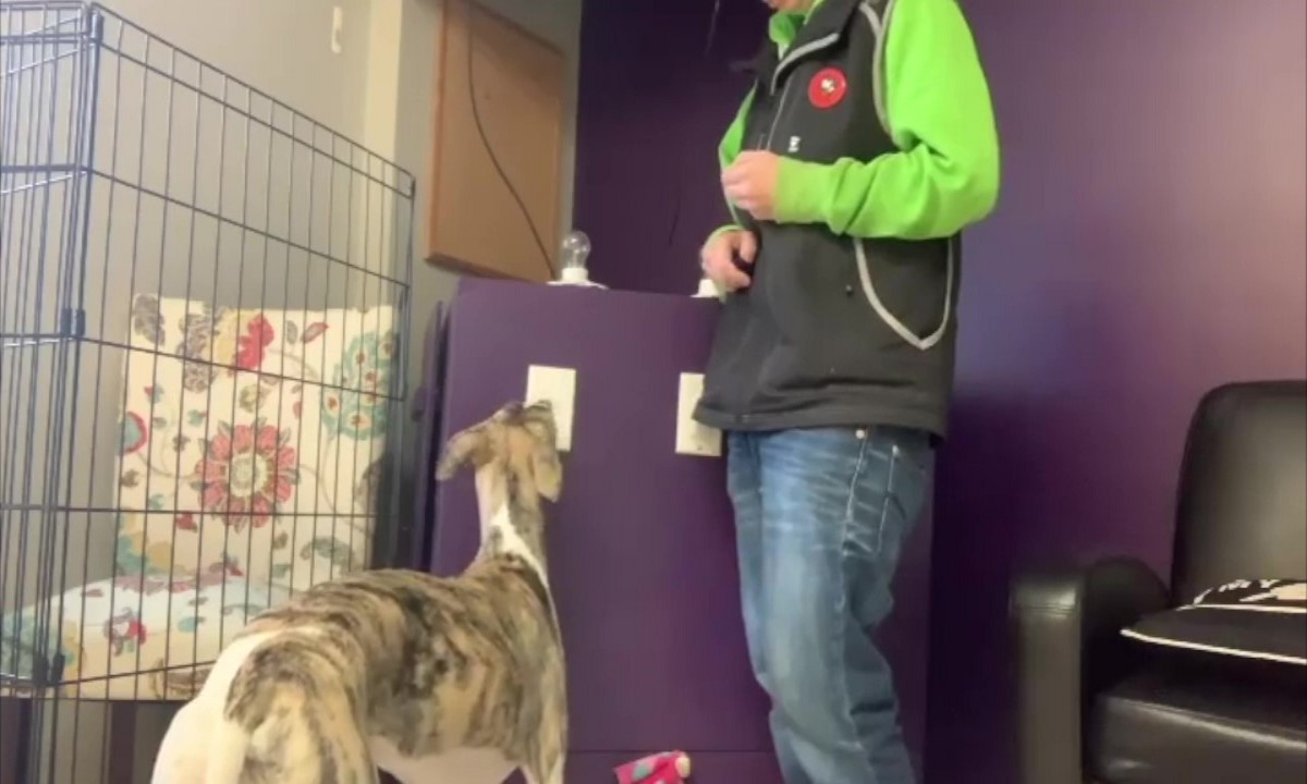 Featured image for “Flip the Switch with Shaping”