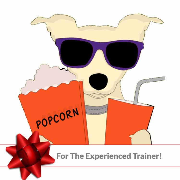 For the Experienced Trainer