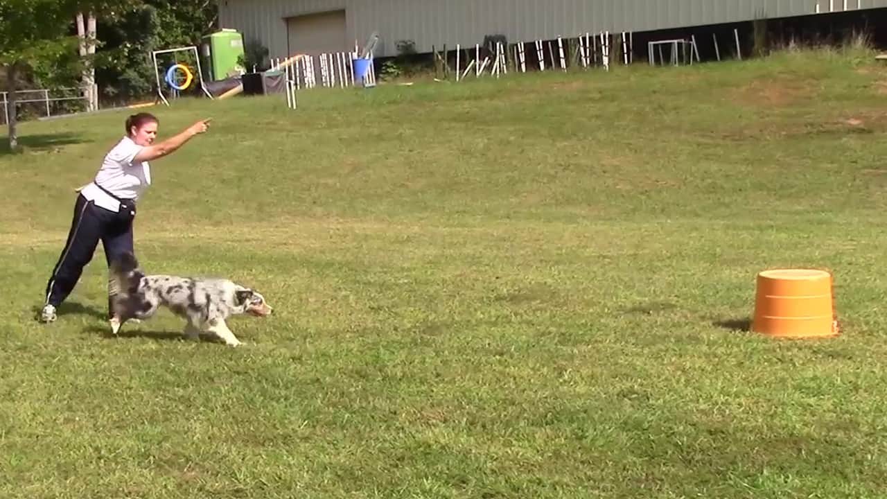 Featured image for “Teach “Go On” and “Go Around””