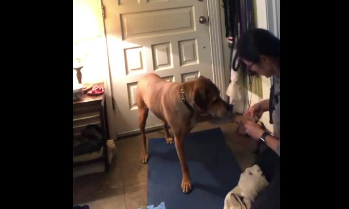 Featured image for “Handling at Home”