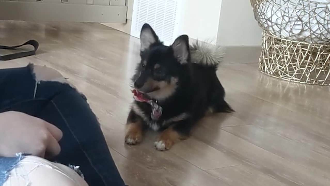 Featured image for “Shaping a Head Dip”