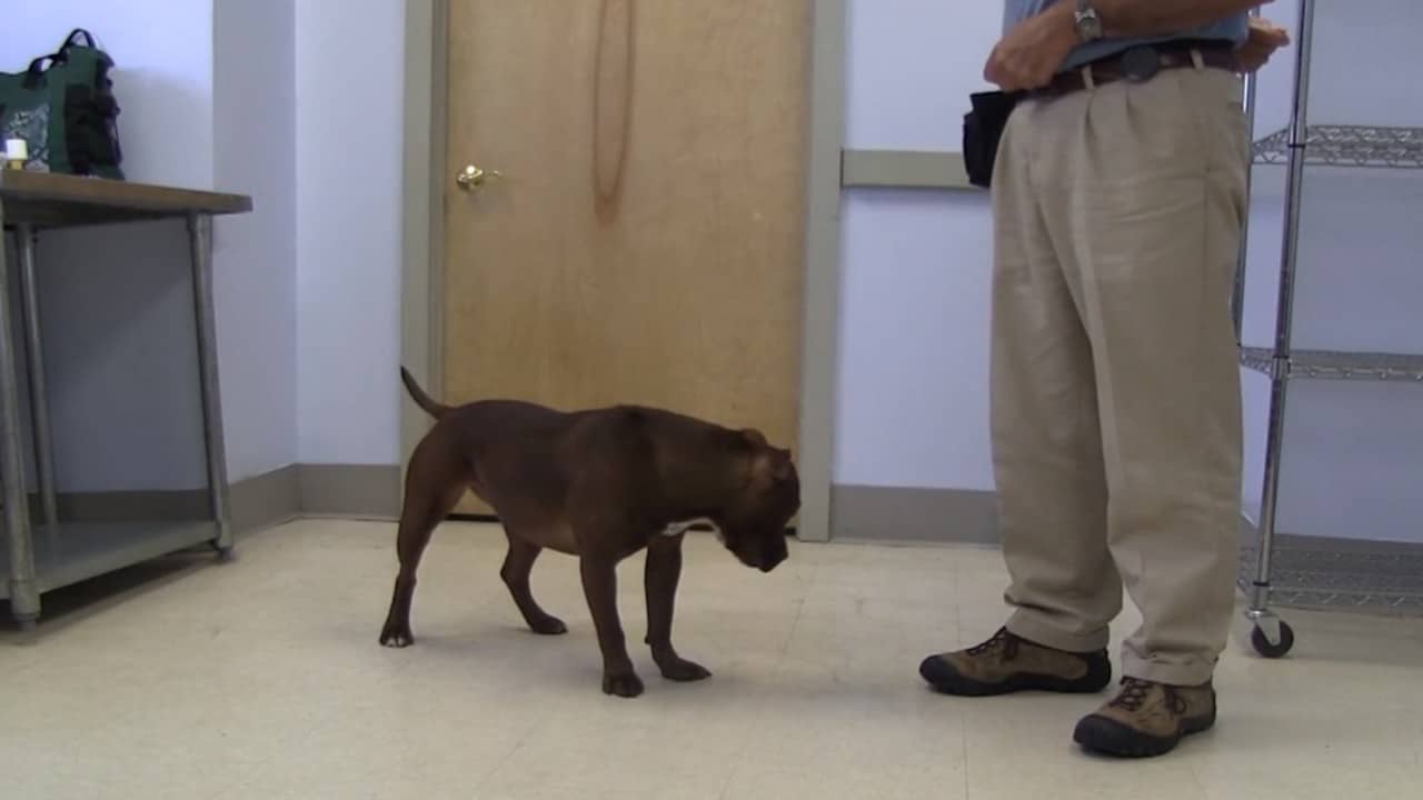 Featured image for “Shaping a Head Turn”