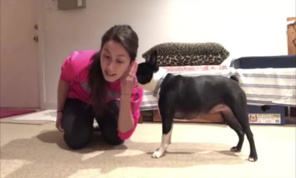 Featured image for “It’s No Secret… Dog Training Is Fun!”