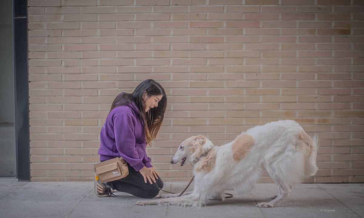 Featured image for “November KPA CTP of the Month: Jay (Jihyung) Seo”