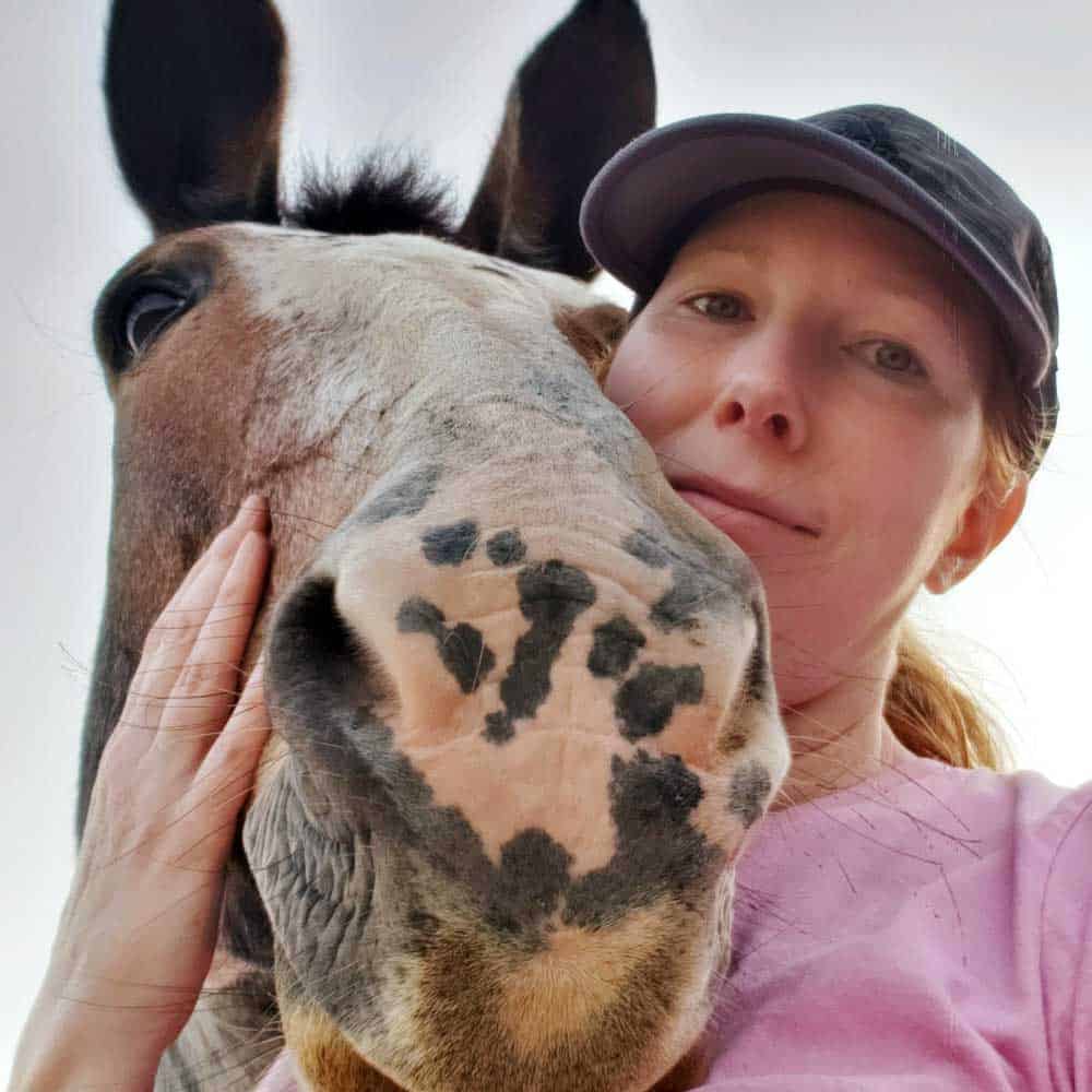 KPA Dog Training Comprehensive Teacher  Sherrie Yuschak