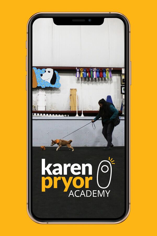 KPA-Click-to-Calm-Course-iphone-mockup