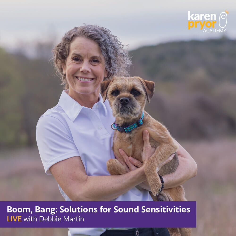 KPA-Live-Class-Boom-Bang-Solutions-for-Sound-Sensitivities-Debbie Martin