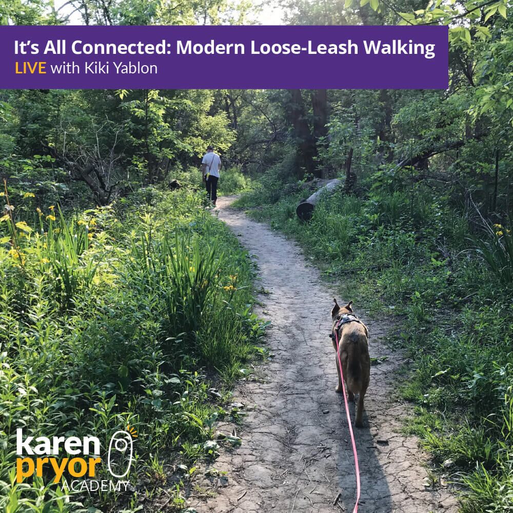 KPA-Live-Class Its All Connected Modern Loose Leash Walking 1000x1000