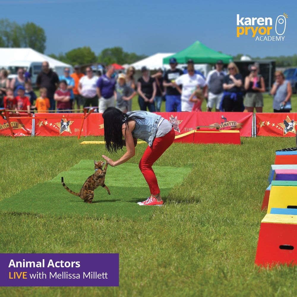 KPA-Live-Classes-Animal-Actors-Learn-with-Mellissa-Millet