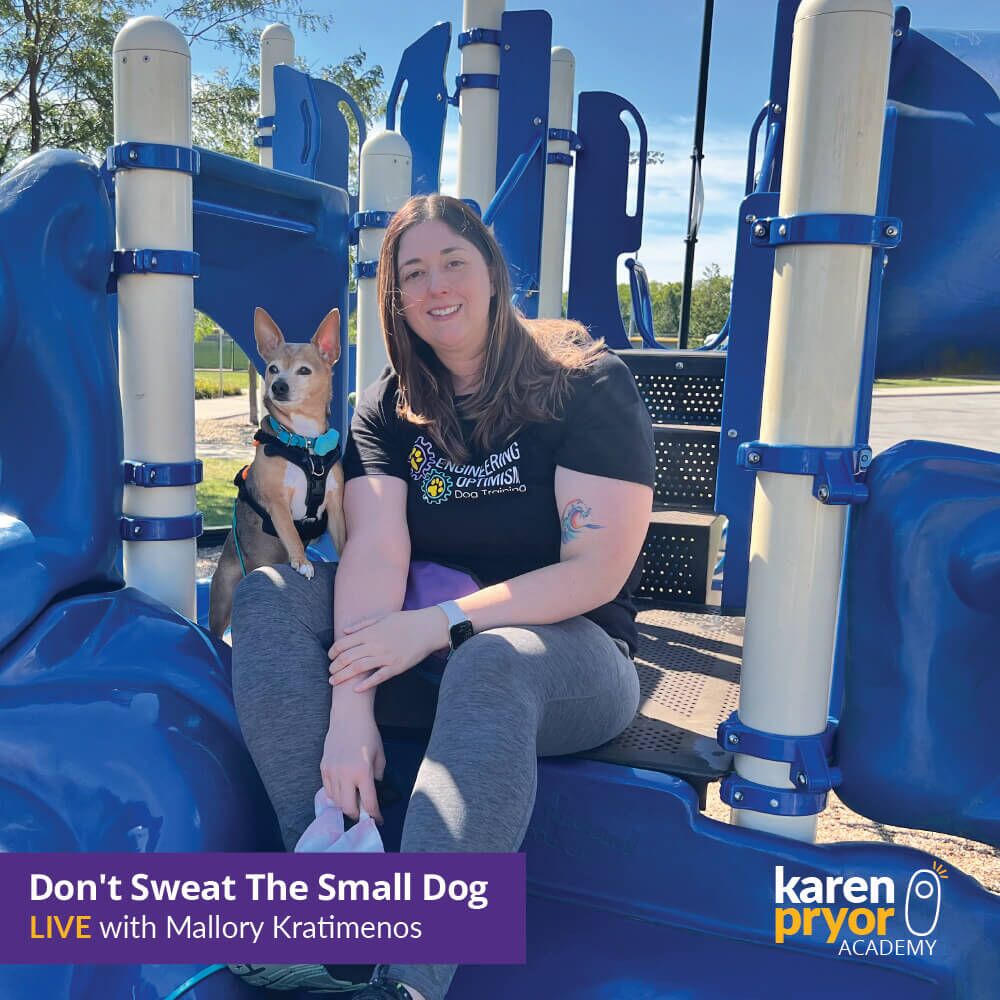 KPA-Live-Classes-Dont-Sweat-The-Small-Dog-LIVE-with-Mallory-Kratimenos- Author 1000x1000