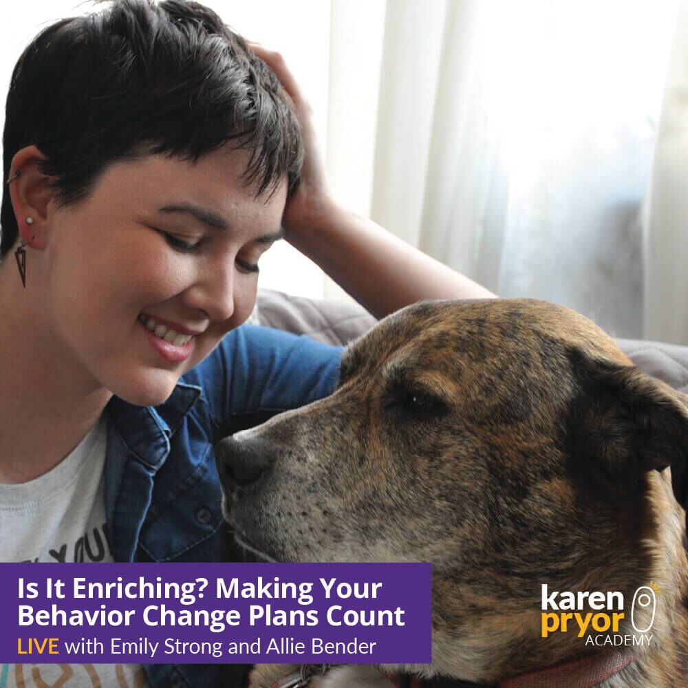 KPA-Live-Classes-Is-It-Enriching Learn with Allie