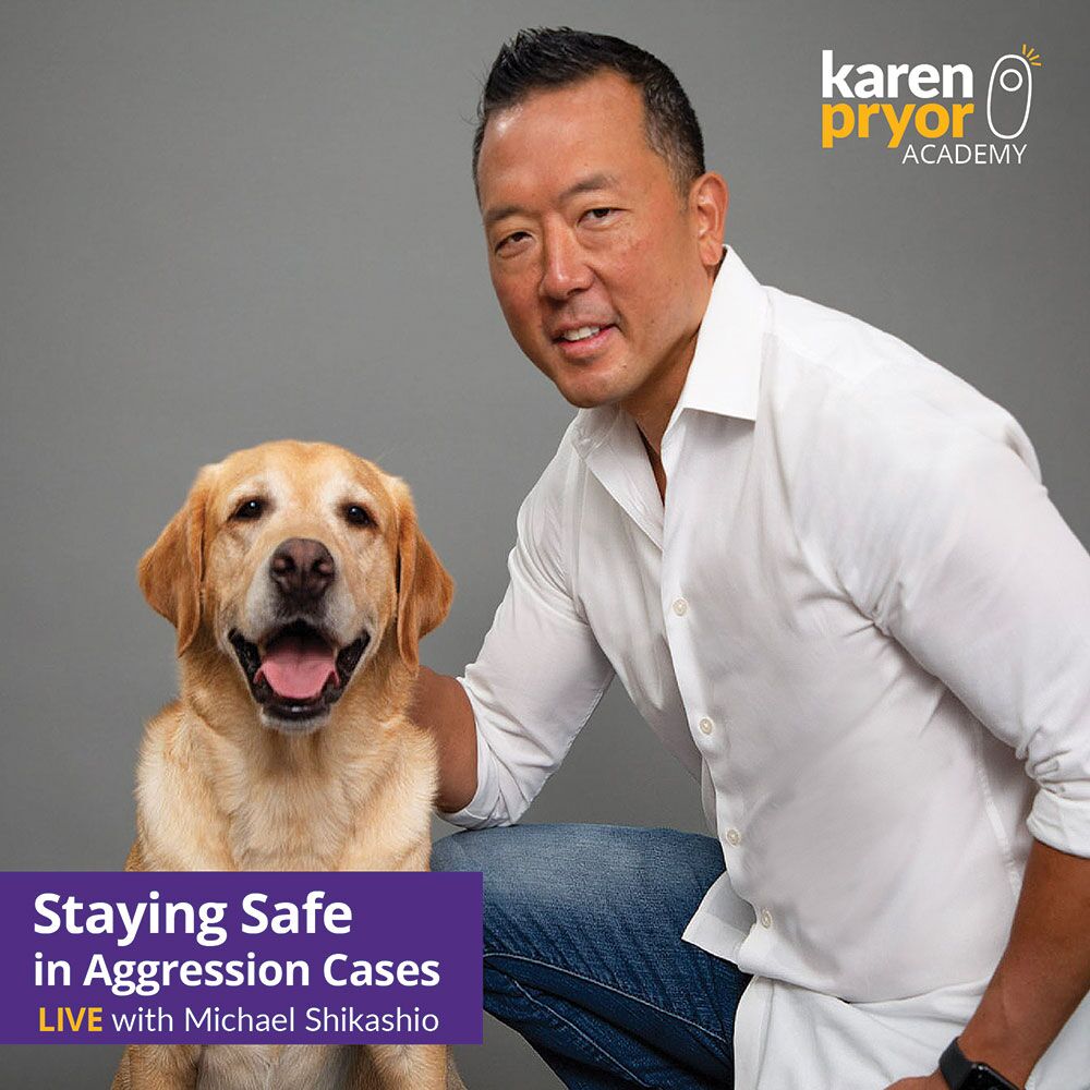 KPA-Live-Classes-Learn-with-Photo-Staying-Safe-in-Aggression-Cases-LIVE-with-Michael-Shikashio