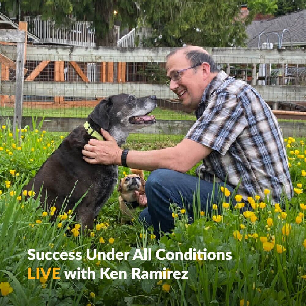 KPA-Live-Classes-Success-Under-All-Conditions-Learn-With-Ken