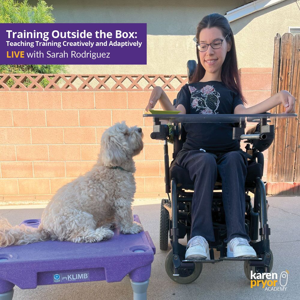 KPA-Live-Classes-Training-Outside-the-Box-1000x1000