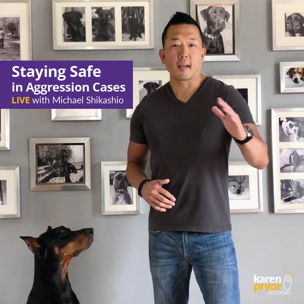 KPA Staying Safe in Aggression Cases LIVE with Michael Shikashio Cover Photo